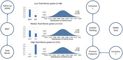 More than words: Speech production in first-episode psychosis predicts later social and vocational functioning